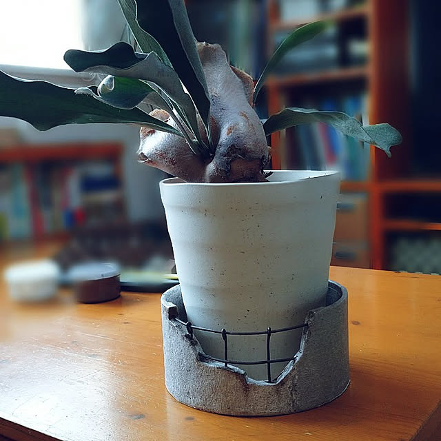 pineさんの実例写真