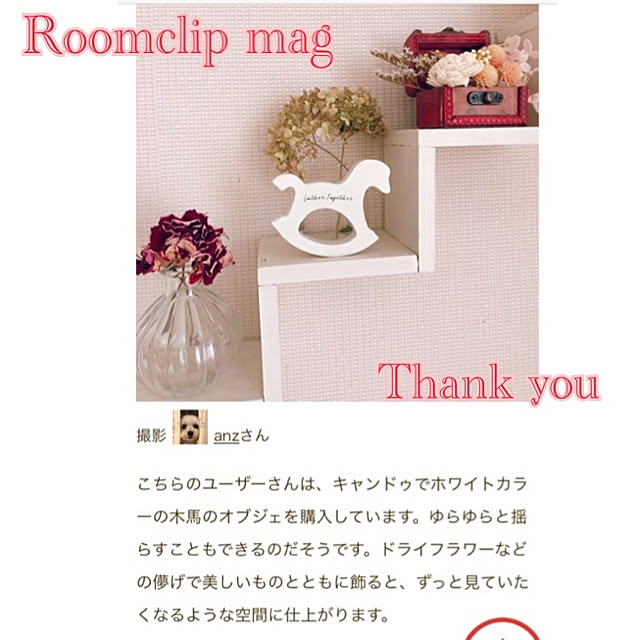 anzさんの実例写真