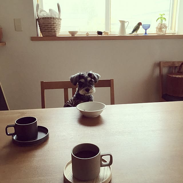 korikoriさんの実例写真