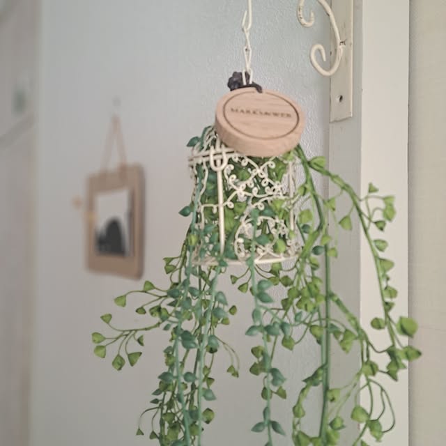 shinoさんの実例写真