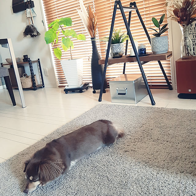 rikakoさんの実例写真