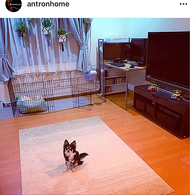 makoさんの実例写真