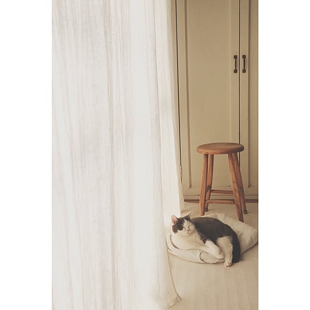 yunさんの実例写真