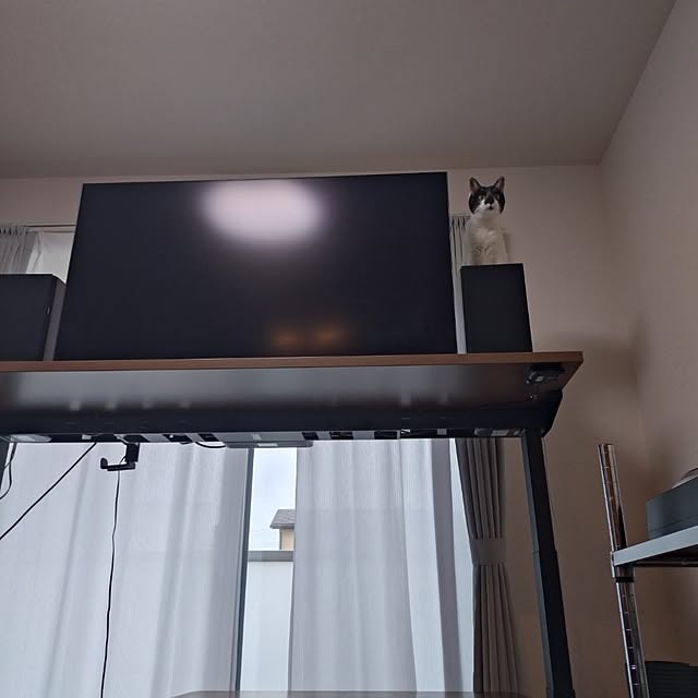 NOAHさんの部屋