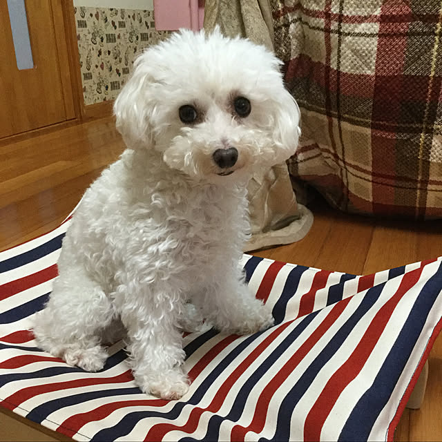 kakoさんの実例写真