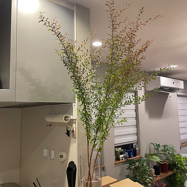 ikuzakさんの実例写真