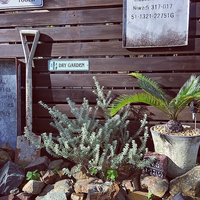 satomiさんの実例写真