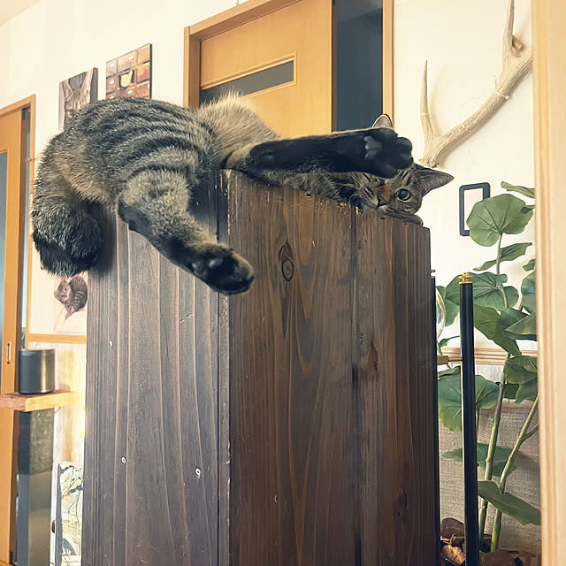 Mさんの部屋