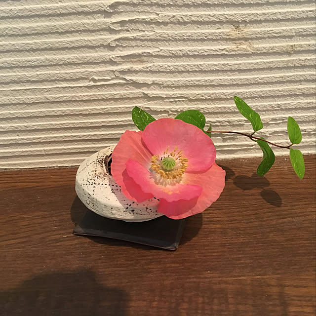 バス/トイレ/NO GREEN NO LIFEのインテリア実例 - 2018-08-09 07:11:45