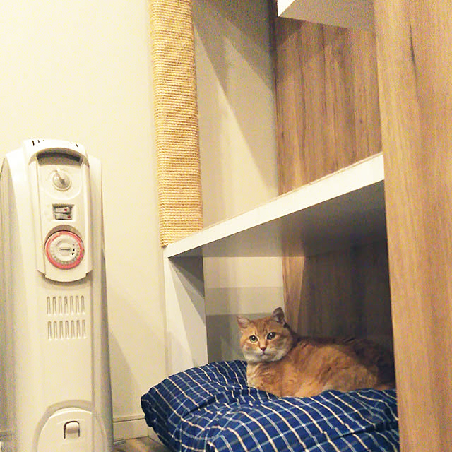 noriさんの実例写真