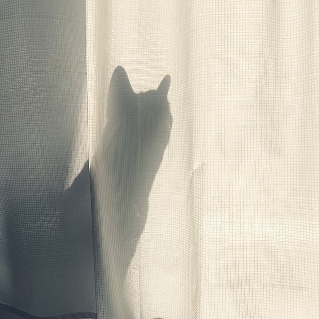 wahahaさんの実例写真