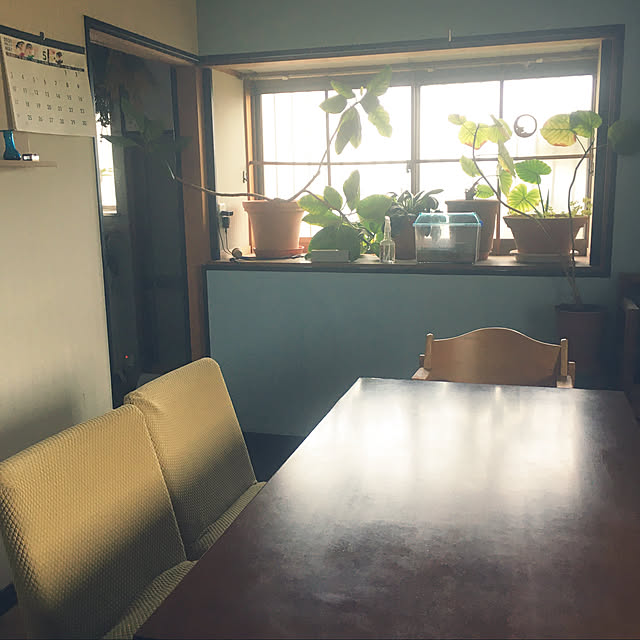 mamegohanさんの実例写真