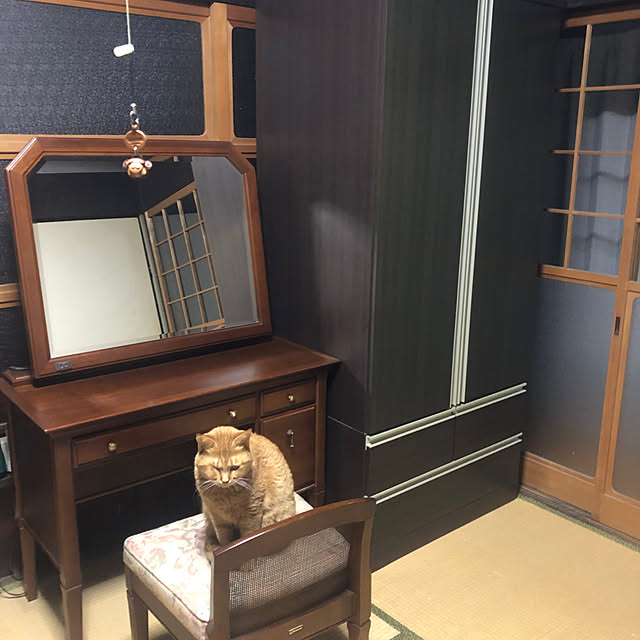 conatuさんの実例写真