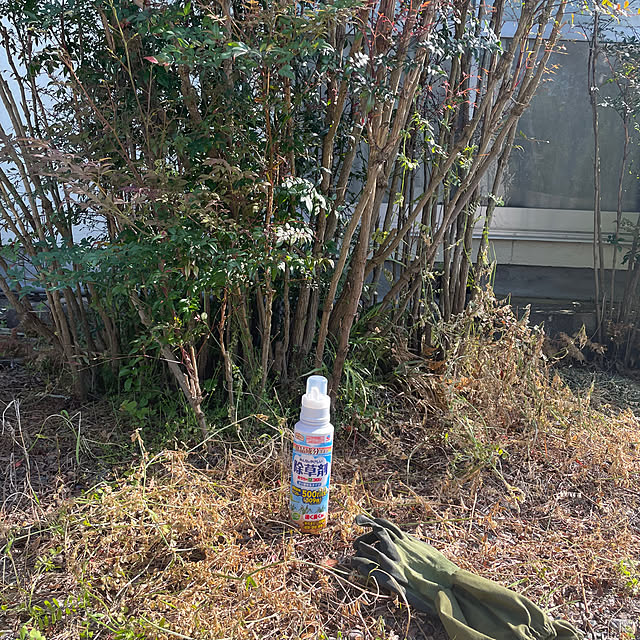 burubonさんの実例写真