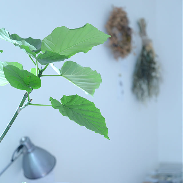 nico_home_igさんの実例写真