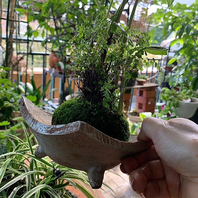 Aqettyさんの部屋