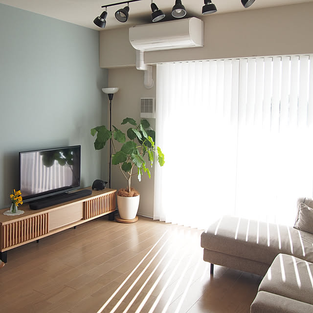 chikoさんの部屋