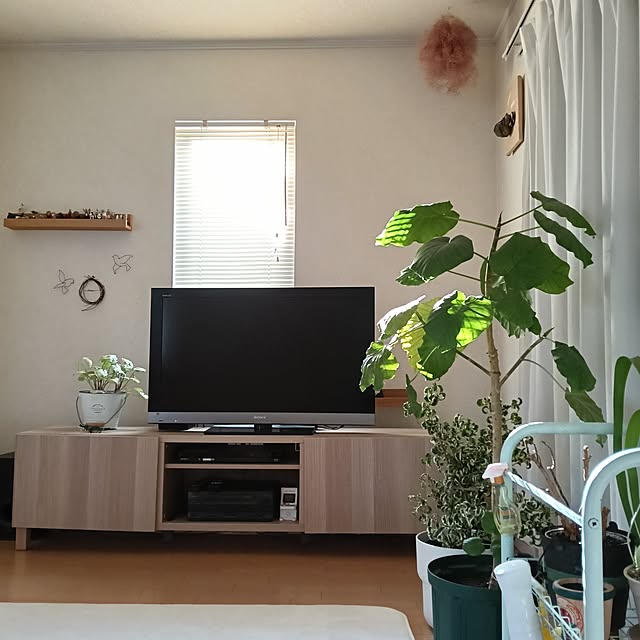 wanidaさんの実例写真