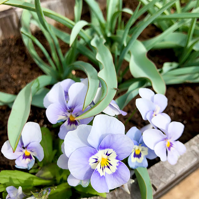 tomoさんの実例写真