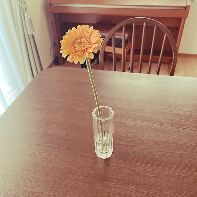hinamiさんの実例写真