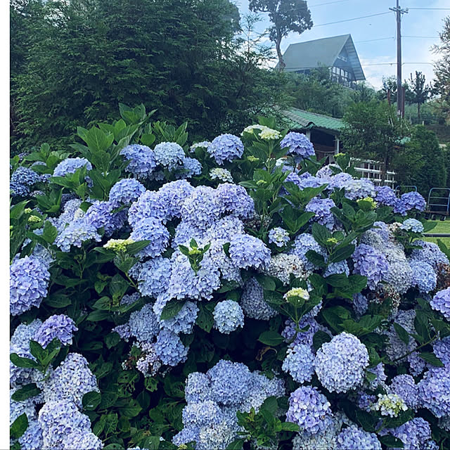 minさんの実例写真