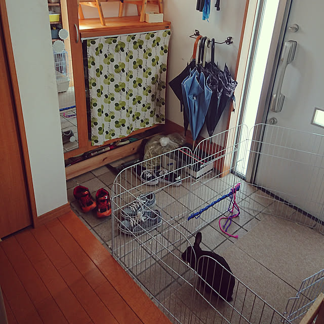 soyokoさんの実例写真