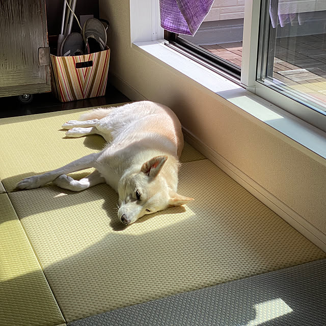 tanboさんの部屋