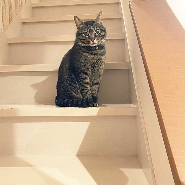 mmeeronさんの部屋