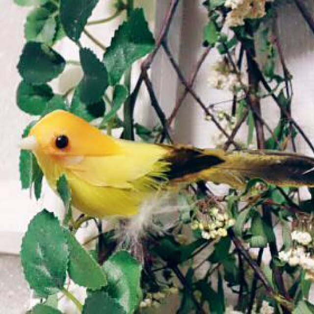 yukiさんの実例写真