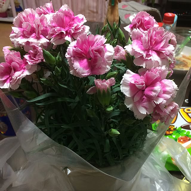 achiさんの実例写真