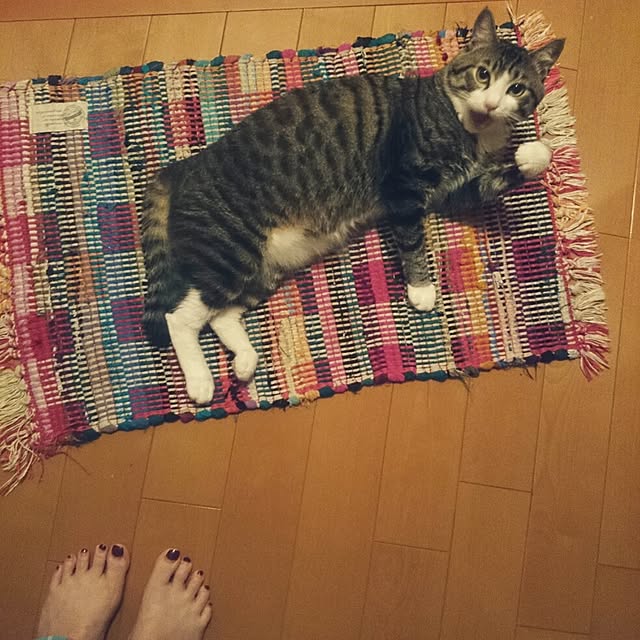 hiiiiiさんの実例写真