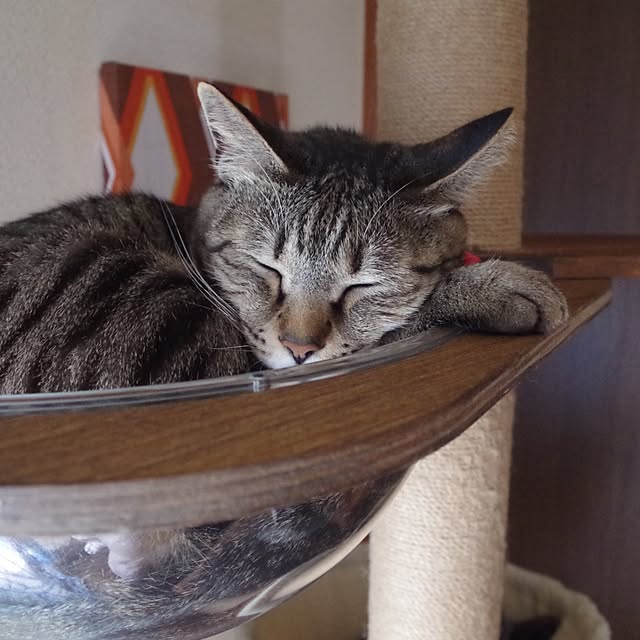 raraさんの部屋