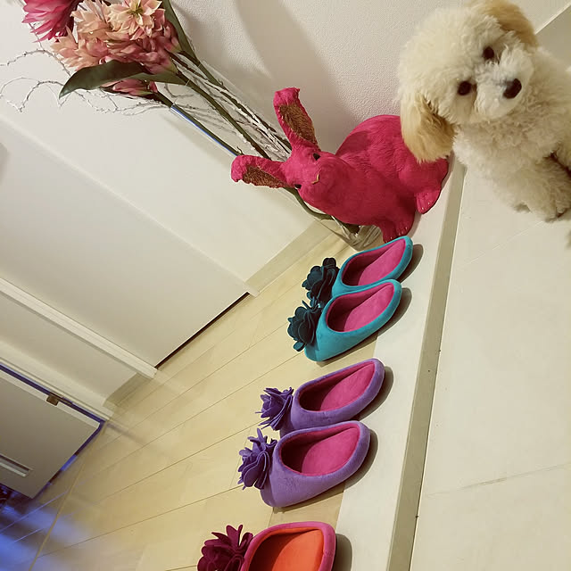 erinaさんの実例写真
