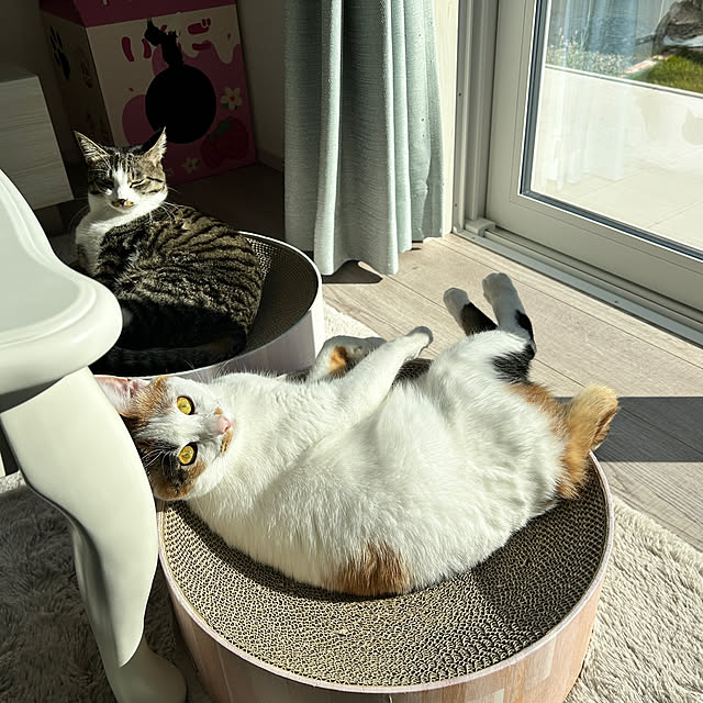 mocaさんの実例写真