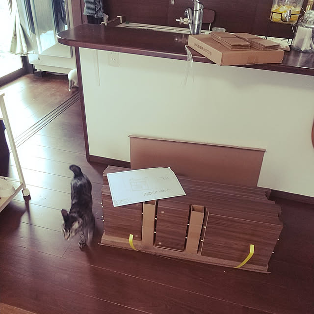 Mikaさんの実例写真