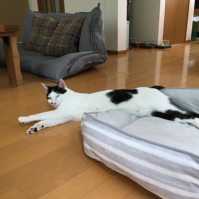 nobikoさんの実例写真