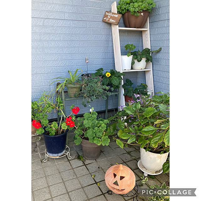 CoCo0617さんの実例写真