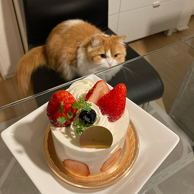H.Tさんの実例写真
