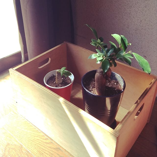 melomeさんの実例写真