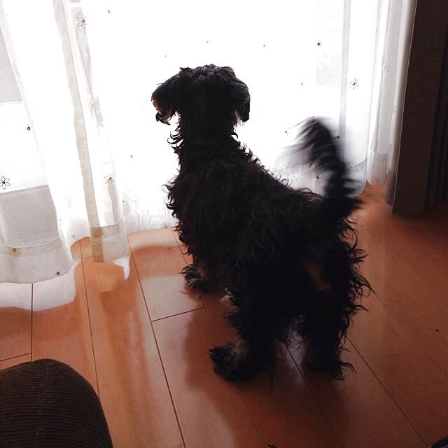 mojyaさんの実例写真
