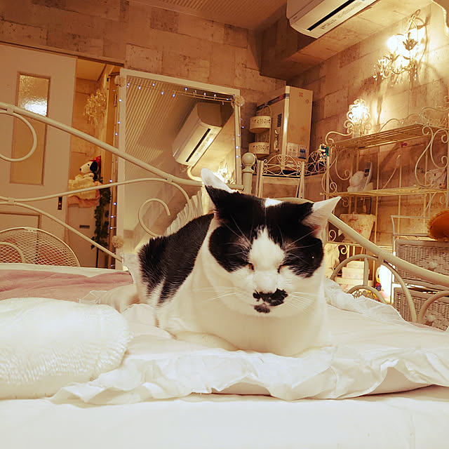 asuminさんの実例写真