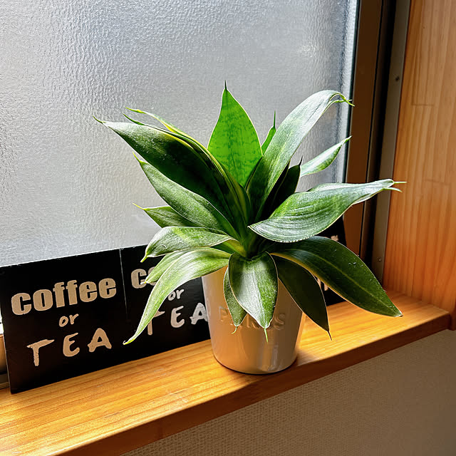 skhrさんの部屋