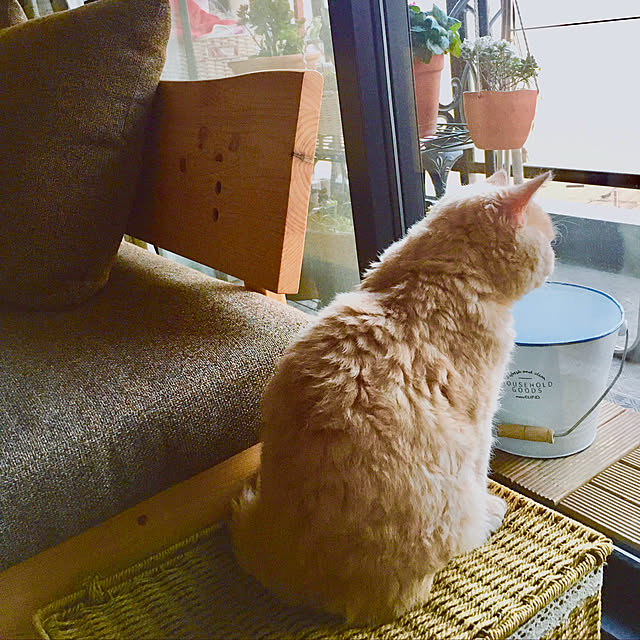 naokoさんの実例写真