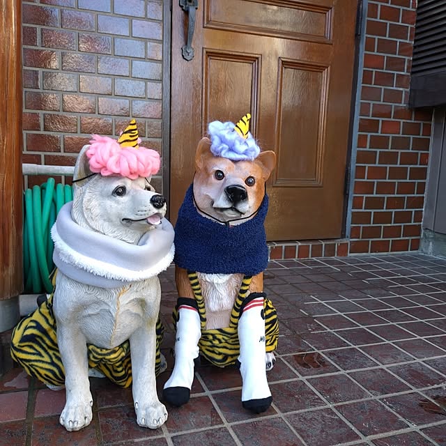 NOAHさんの実例写真