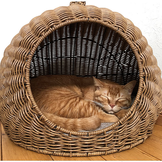 Hisashiさんの部屋