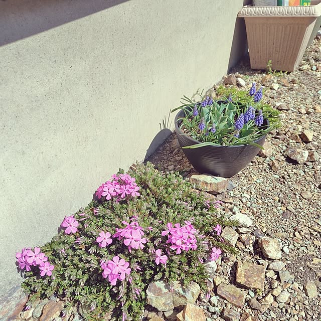 Ryokoさんの実例写真