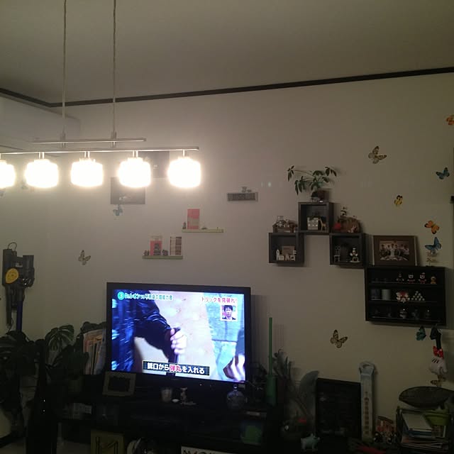 tt1076101063さんの実例写真