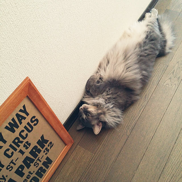 lecielさんの実例写真