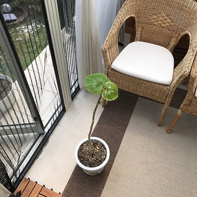mimosaさんの実例写真