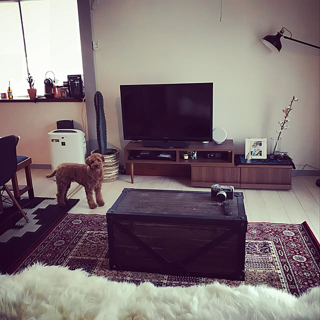 marin_kashimaさんの実例写真
